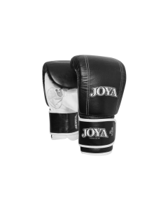 Joya Zakhandschoen Title Leather Black