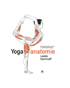 Yoga anatomie